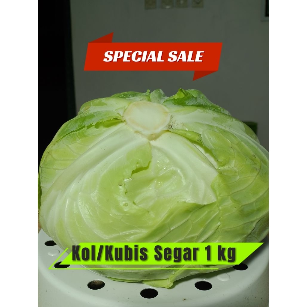 

Kol / Kubis Sangat Fresh 1 kg