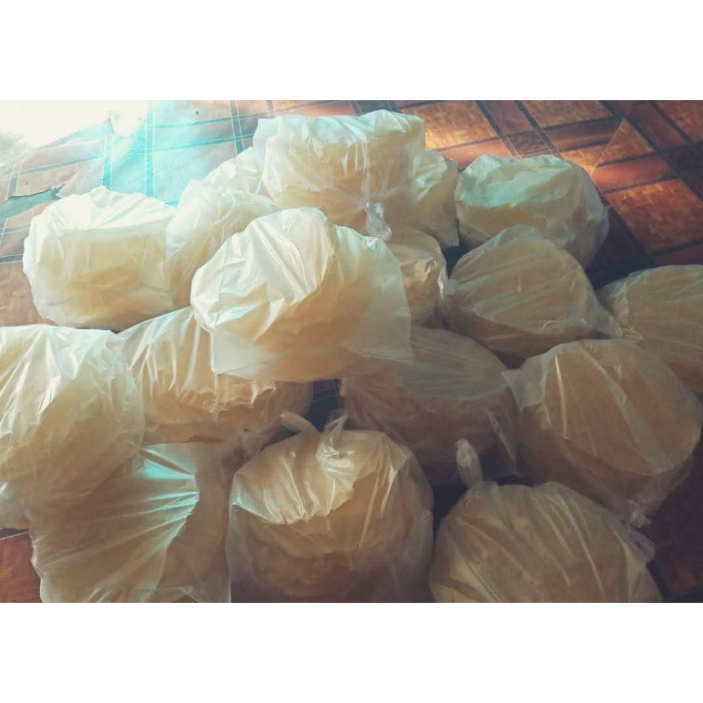 

LEMPENG POHONG/SAMIER MENTAH