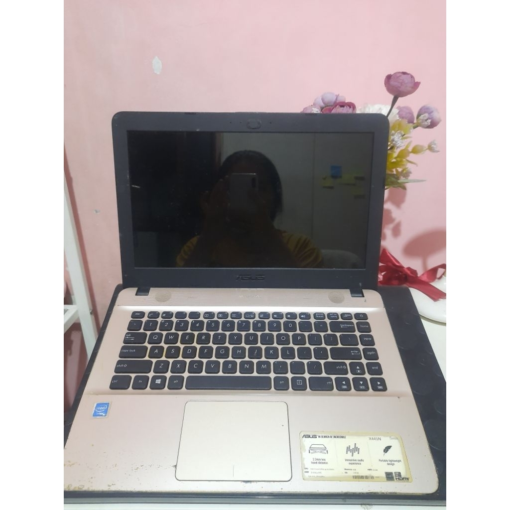 Laptop ASUS X441N 4GB/500GB Intel 2 Core