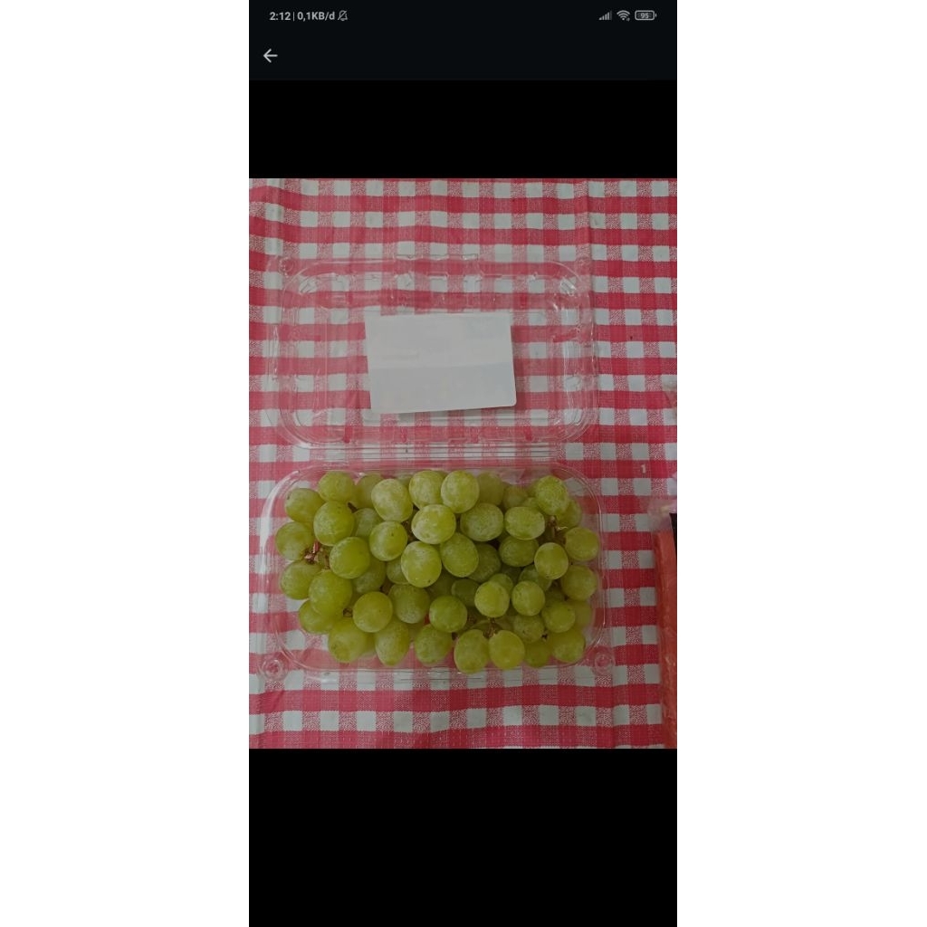 

Anggur_Thomson_hijau_manis_renyah_500gr