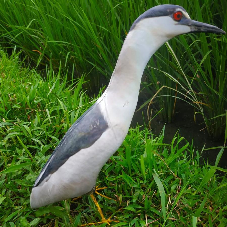 jontrot boneka mainan burung koak abu dan coklat/jontrot patung dekoy manuk sawah goak coklat