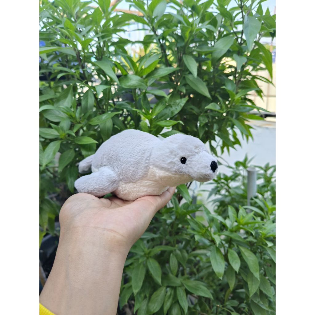 Jellycat Skidoodle Seal by jellycat