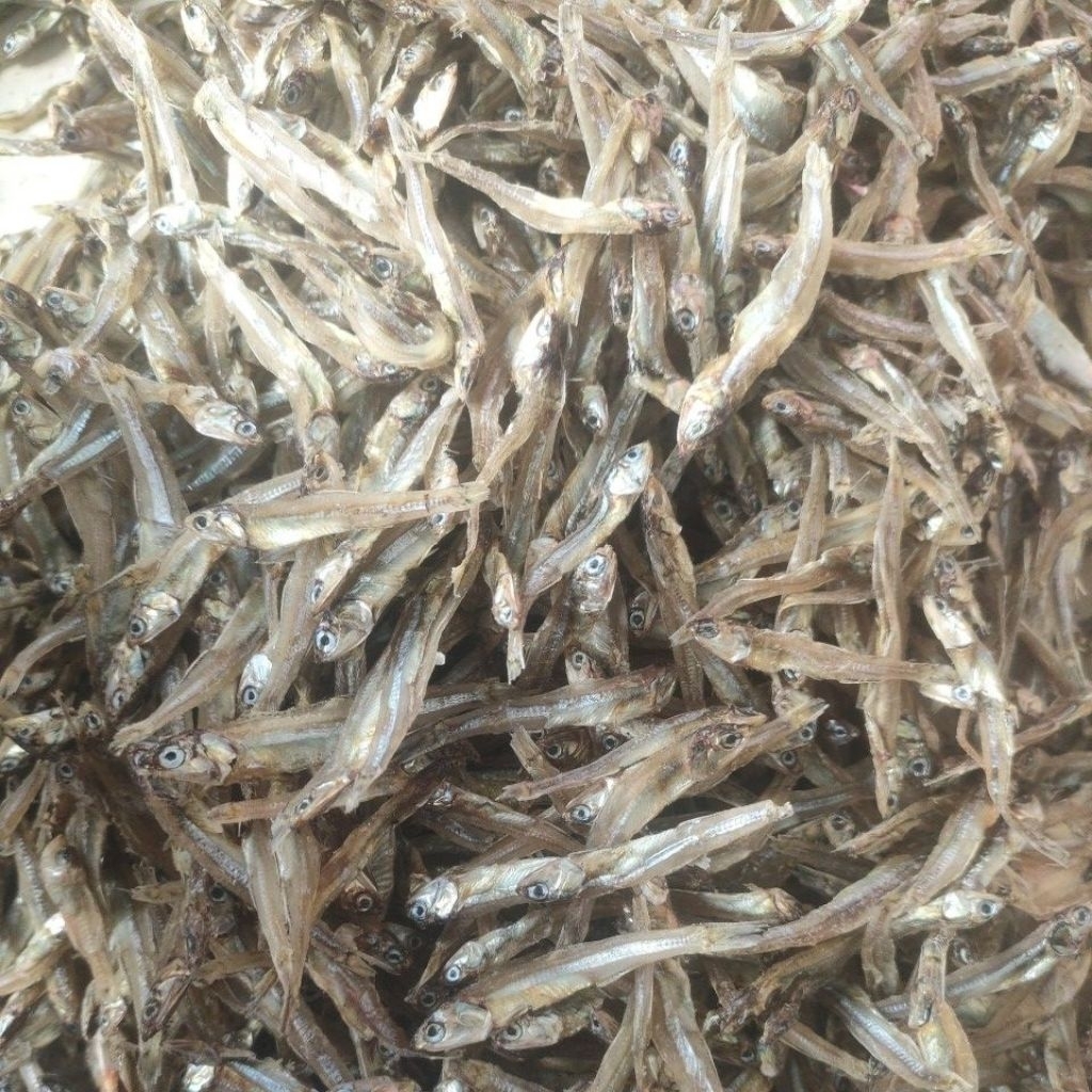 

teri tawar kecil ke tanggung baru naik dari bagan