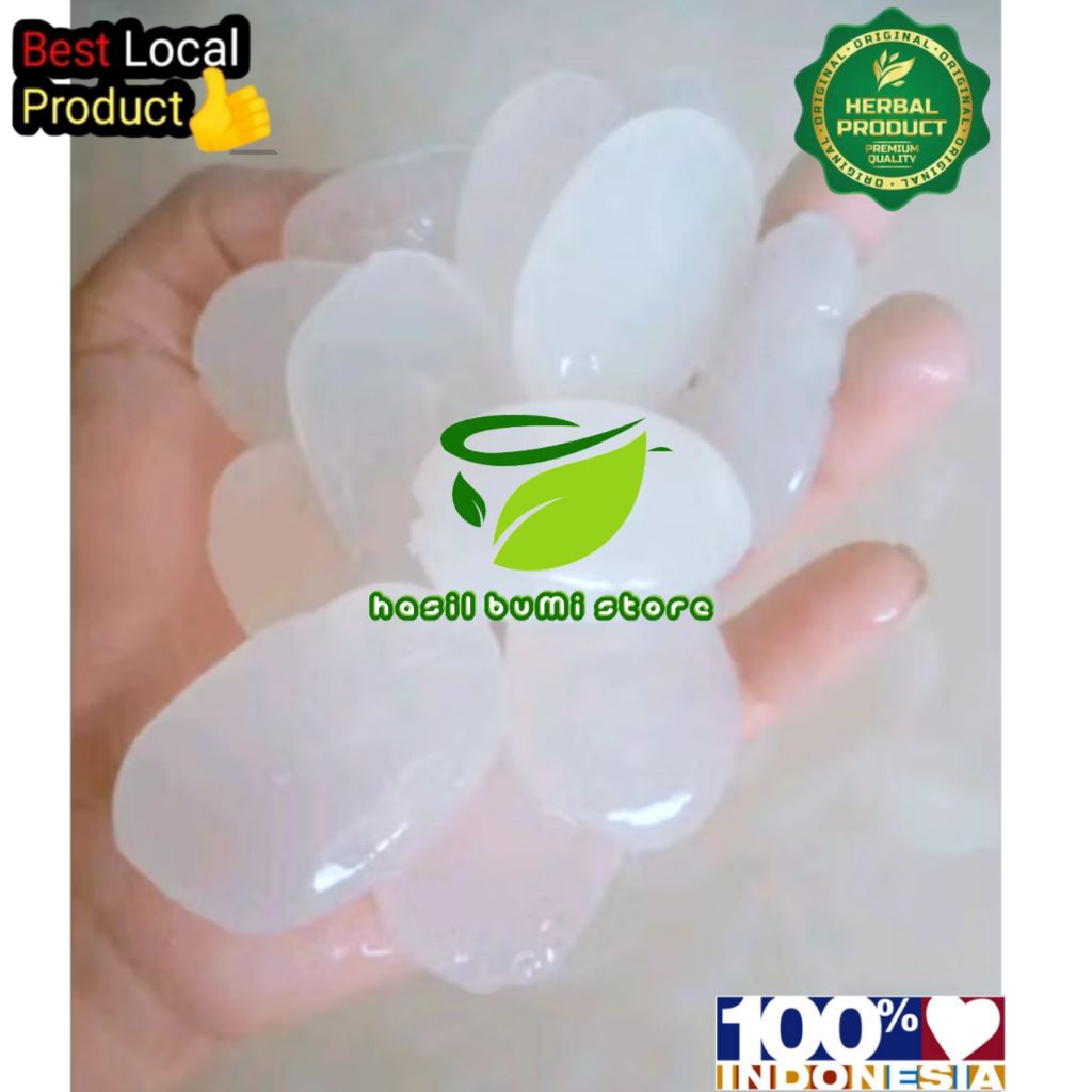 

Kolang kaling segar 100% asli kenyal 1kg caruluk tanpa bahan pengawet super organik