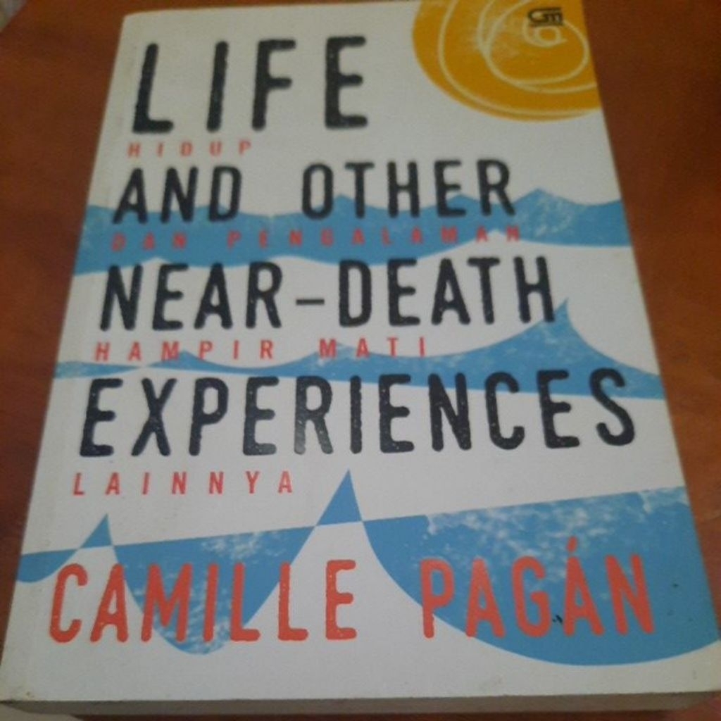 Novel Life And Other Near Death Experiences Karya Camille Pagan