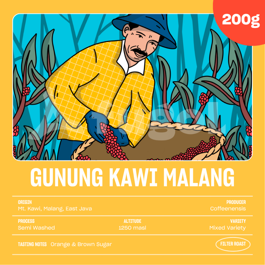 

Biji Kopi Arabika Gunung Kawi Malang (200 gram) Single Origin Specialty Coffee Beans
