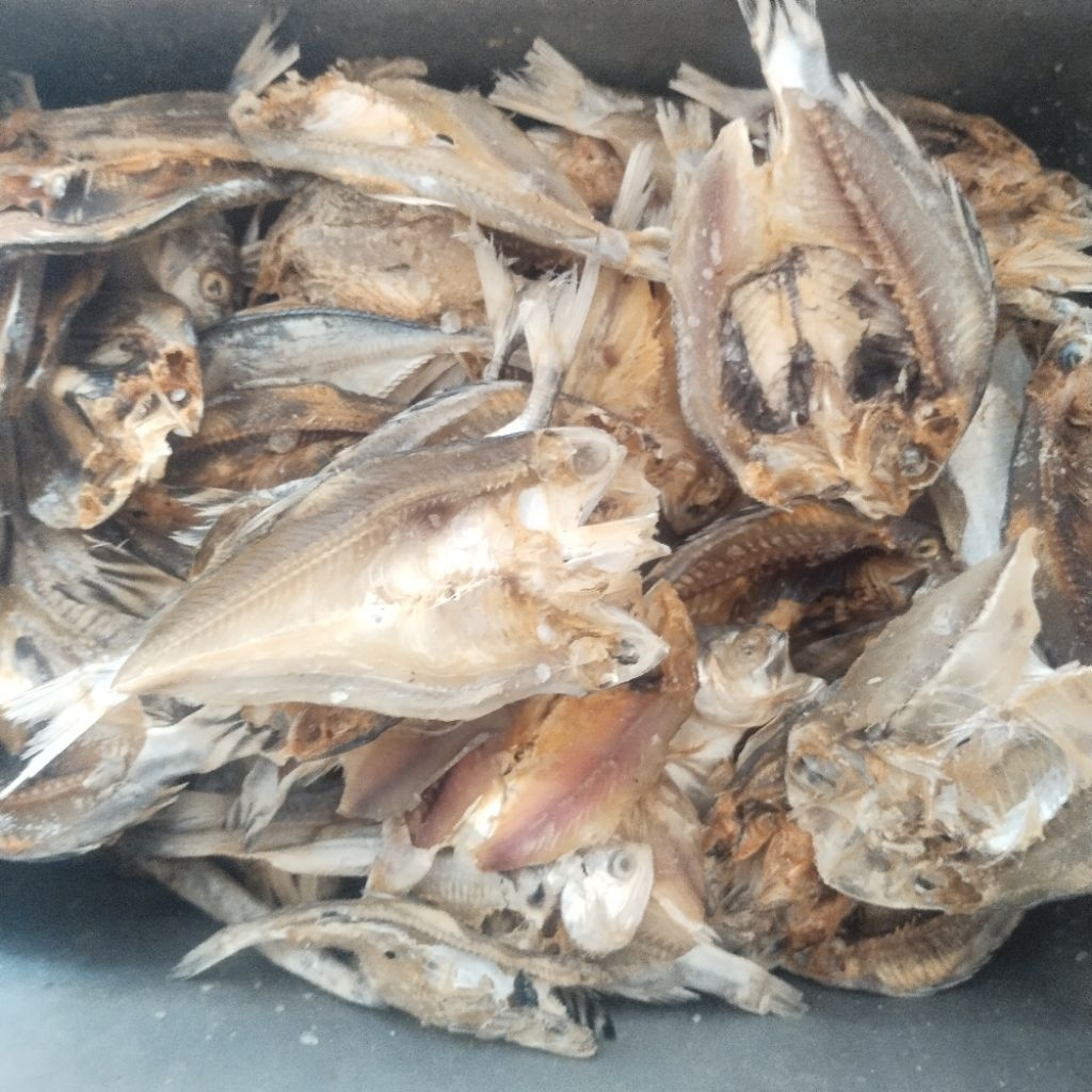 

Ikan Asin Murah Belahan Campuran 500 gram