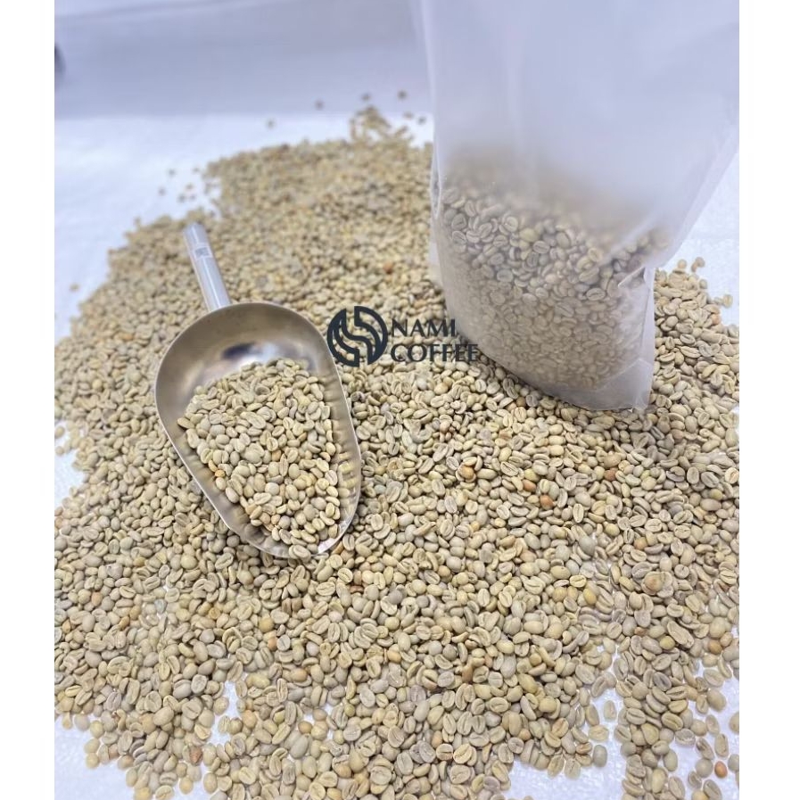 

Biji Kopi Mentah Green Bean Gayo Arabica Natural Process Arabika Premium Grade 1