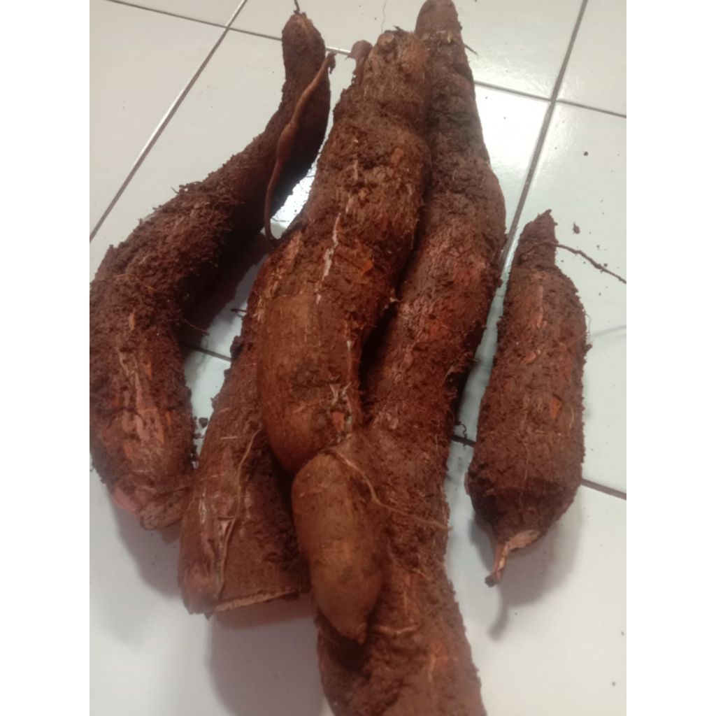 

singkong mawar puleun 1kg(ambil_dadakan)