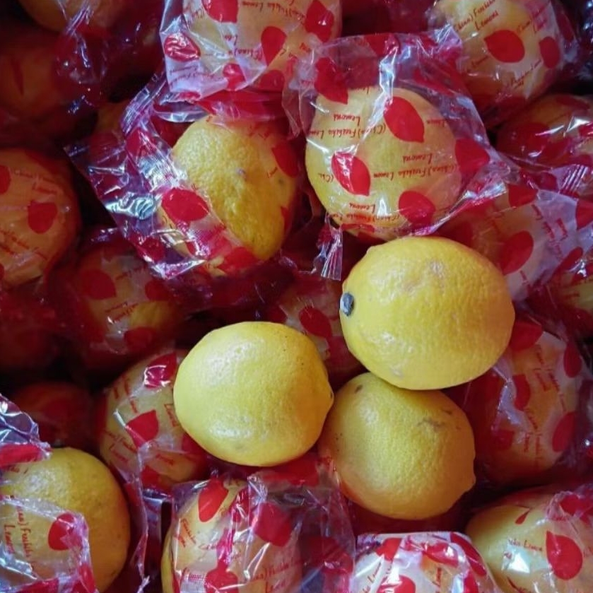 

LEMON IMPORT Berkulitas (1 Kg)