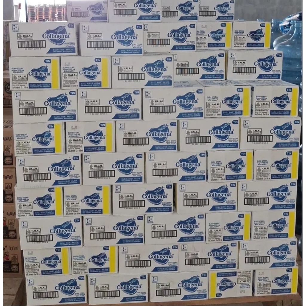 

COLLAGENA SUSU STERIL 1 DUS