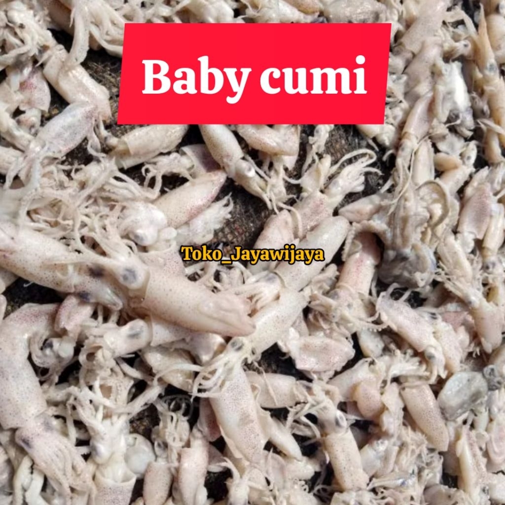 

Baby Cumi/Bayi Cumi/Cumi Asin kecil