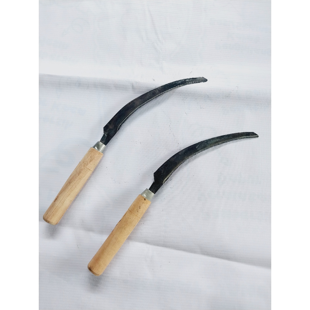 Arit Gergaji kecil sabit atau Arit Padi