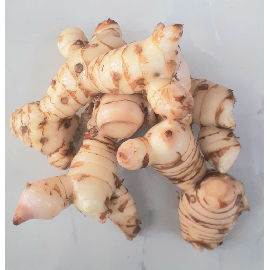 

250 GR Lengkuas Segar / Laos / Laja - Bumbu Dapur Tradisional | Minuman Hangat