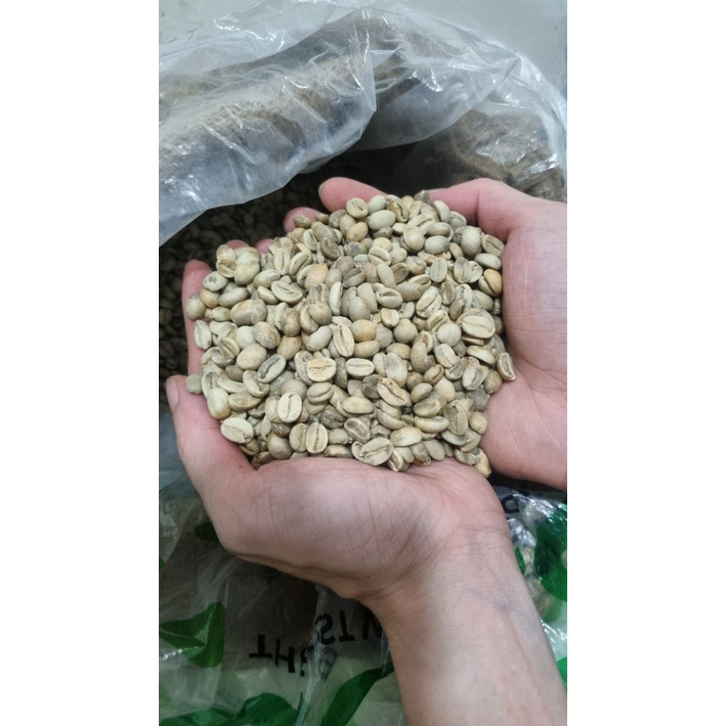 

Flores Arabika Biji Kopi Mentah 1KG Arabica Coffee Green Beans