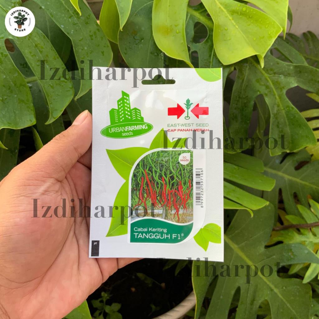 Liceriashop17 Benih Bibit Cabe Keriting Tangguh F1 Cap Panah Merah - Cabai Keriting Tangguh F1 East