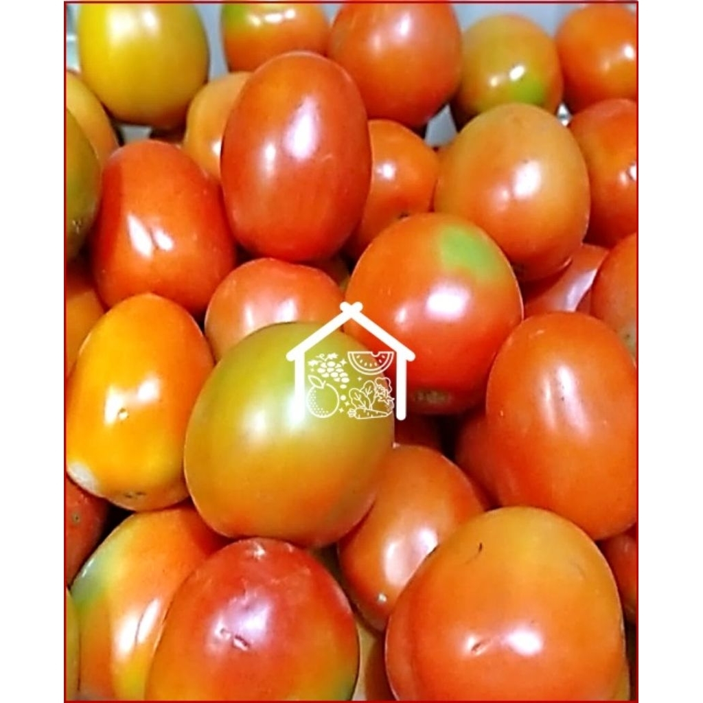 

Tomat Merah 500 Gram Pilihan Hemat