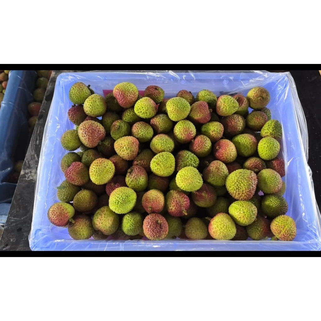 

Leci per krat isi 5,2 kg