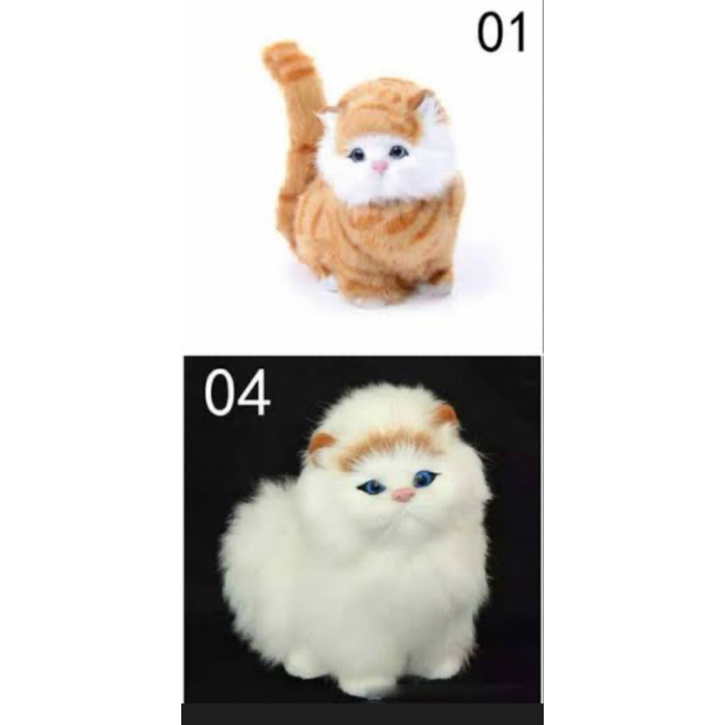 boneka kucing import persia munchkin Maincoone