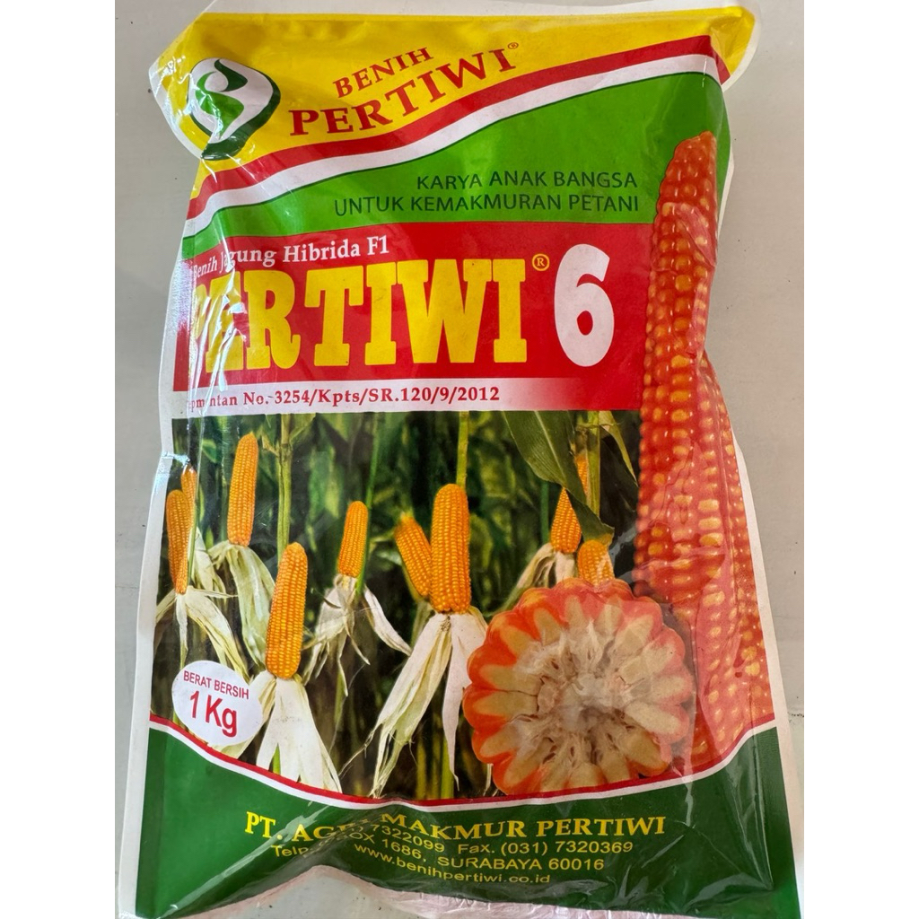 Benih pertiwi benih jagung pertiwi 6 bibit jagung pertiwi 6 1kg