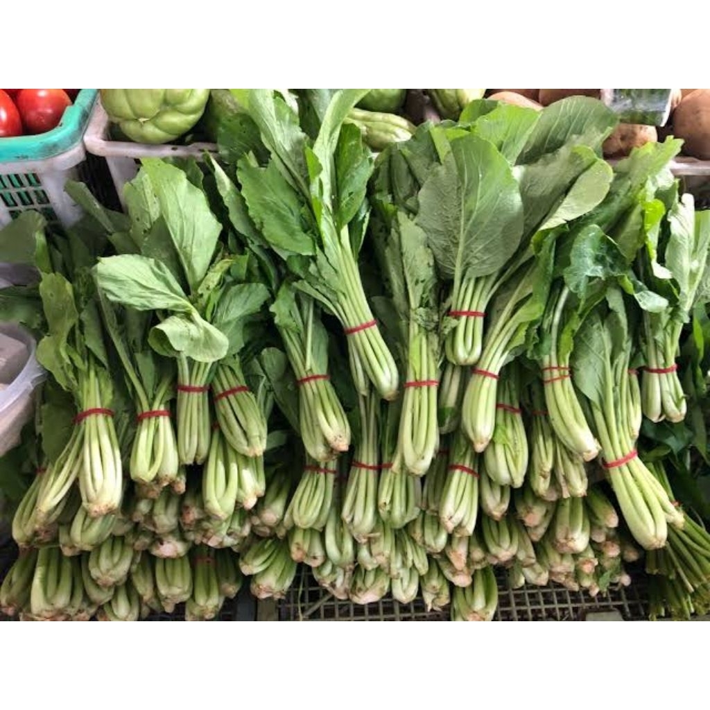 

Sawi Hijau per ikat