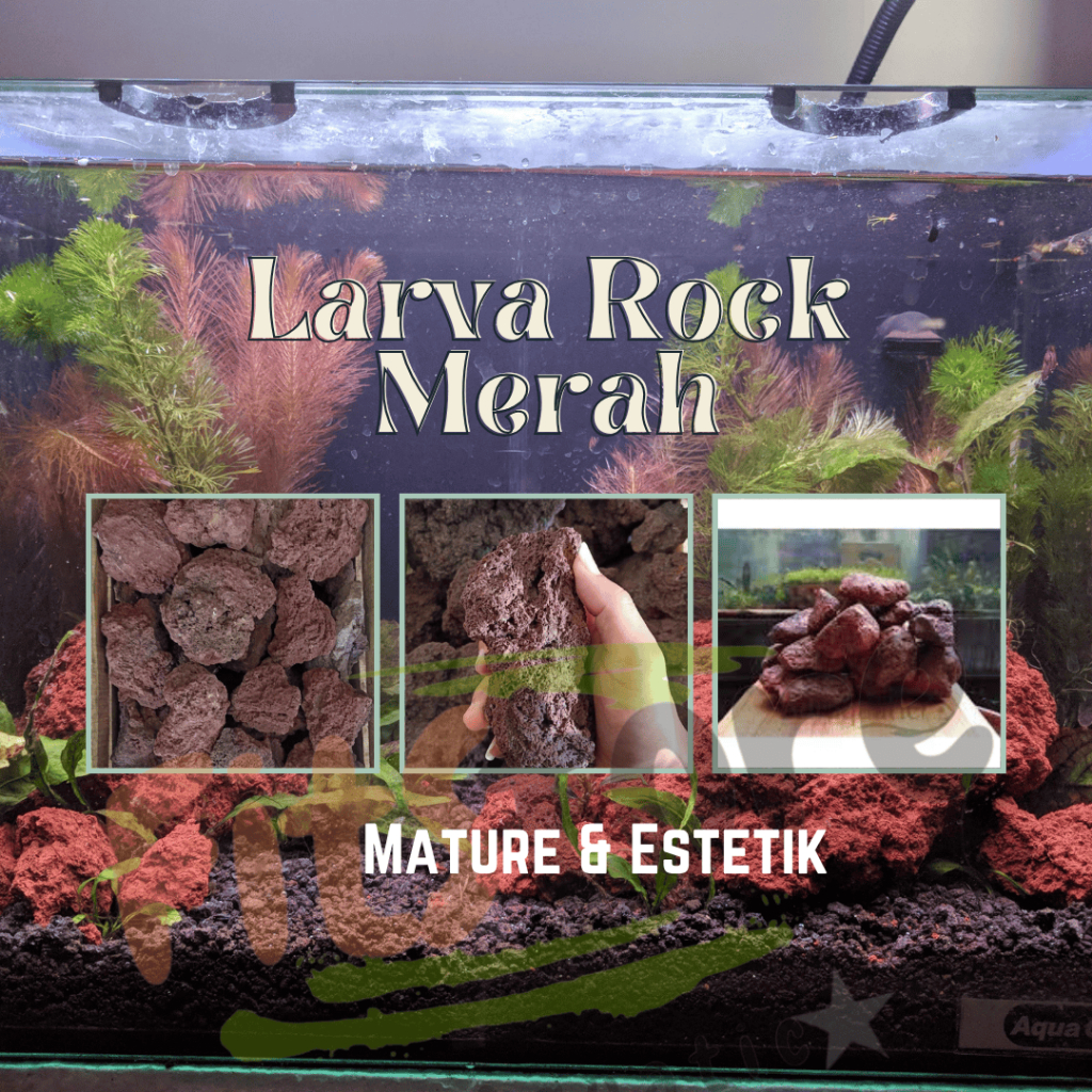 Batu Lava Rock-Batu Lava Aquascape Batu Lava Rock Aquarium Batu Paludarium Batu LavaRock Merah m Bat