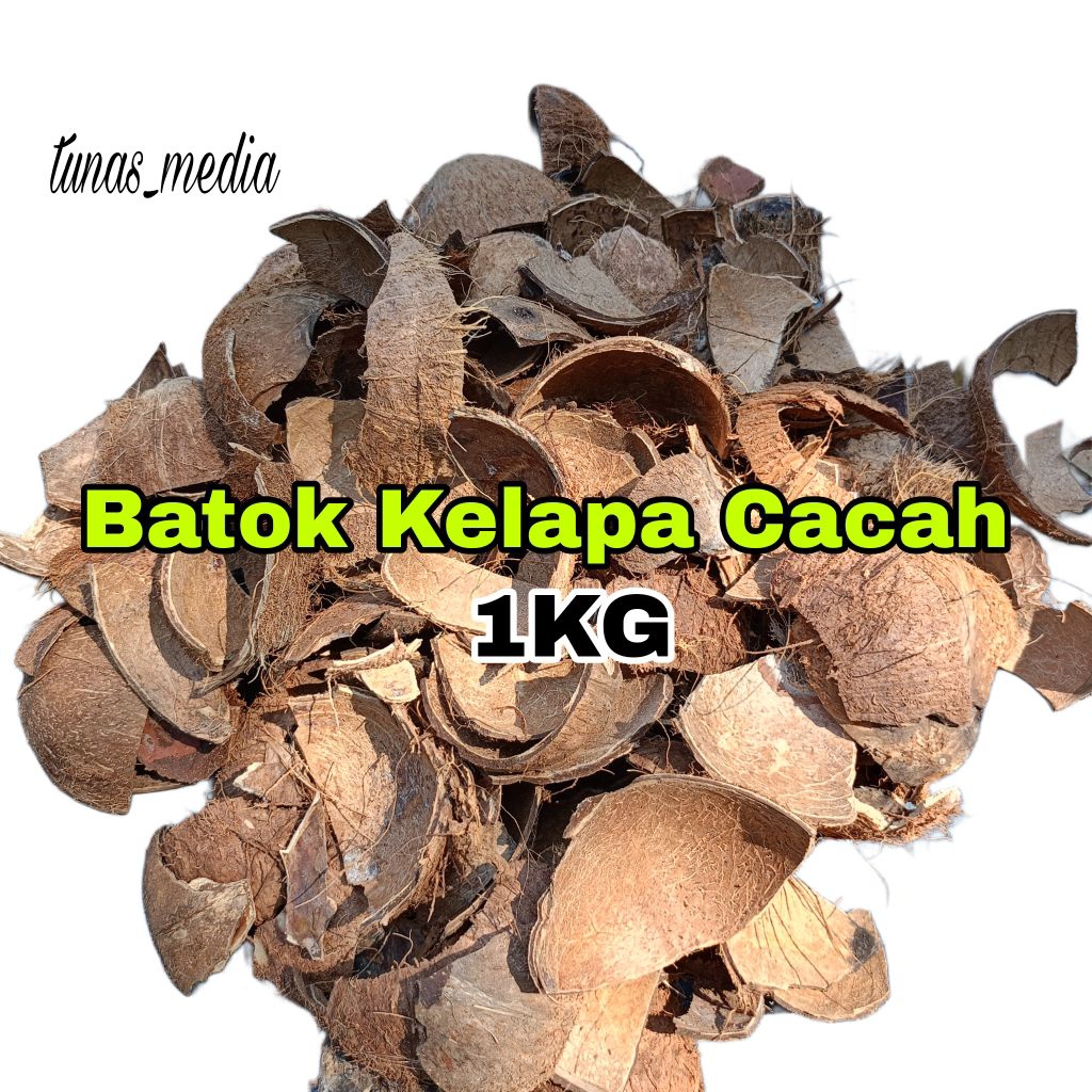 Batok Kelapa Cacah Kering/Batok Kelapa Cacah Kecil/Bahan Arang/Kerajinan 1Kg