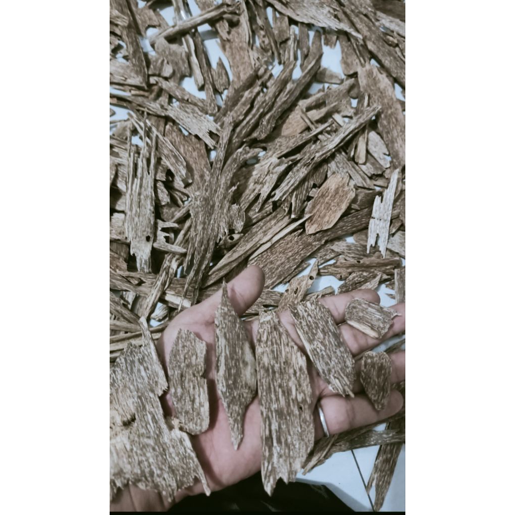 

KAYU GAHARU AB SUPER ALAMI 100gram