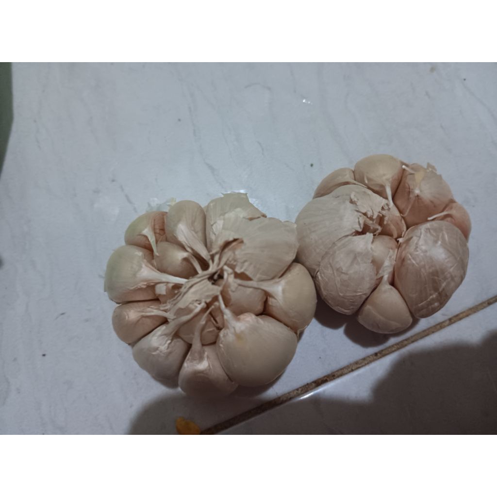 

Bawang Putih 250grm