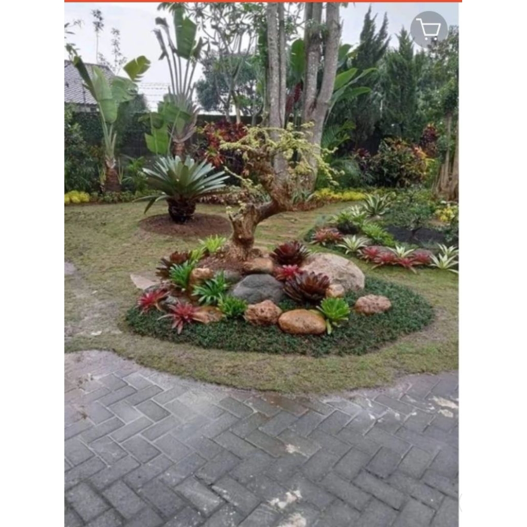 taman minimalis depan rumah