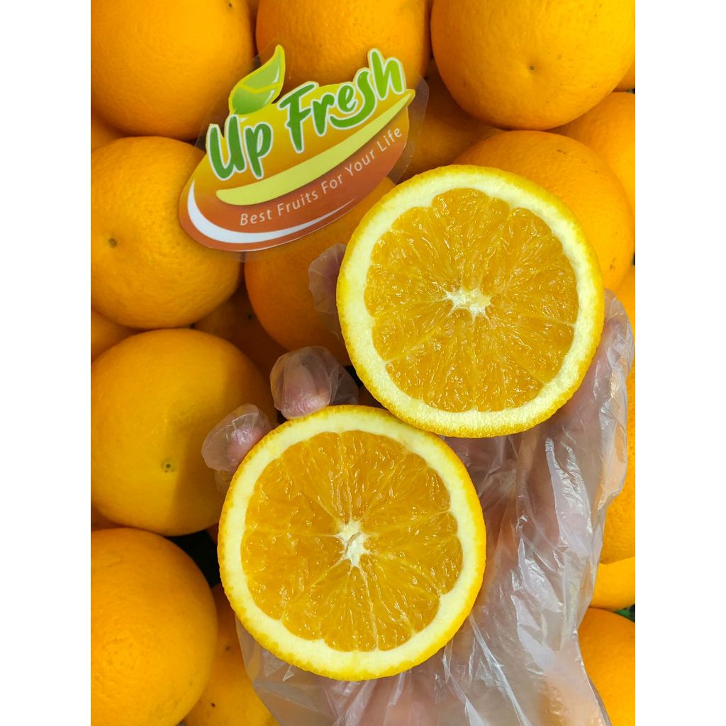 

Jeruk Sunkist Valencia