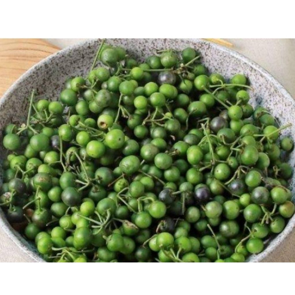 

buah lenca segar per 100gram