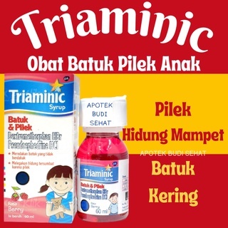 Triaminic Batuk Pilek Obat Batuk Anak Rasa Cherry 60 ml Triaminic Pilek Triaminic Batuk Kering Obat 