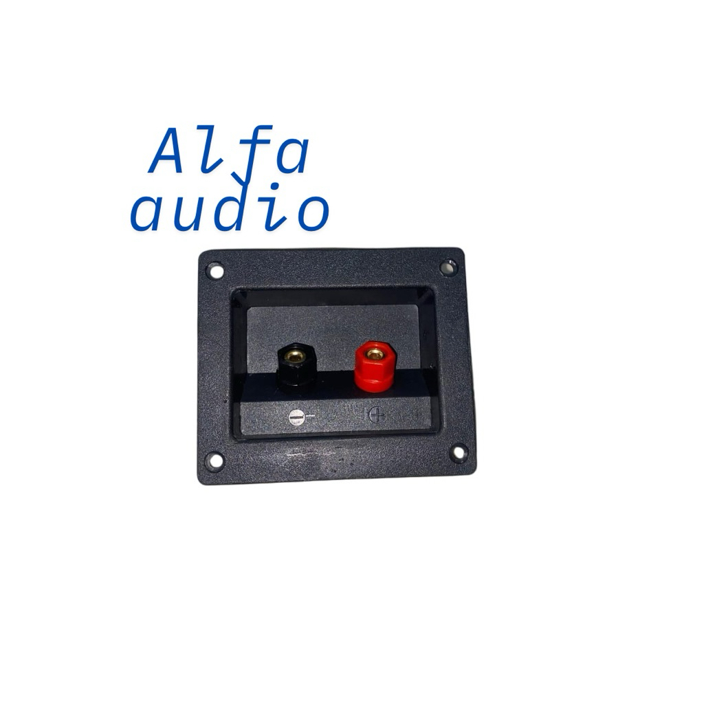 Terminal speaker binding post