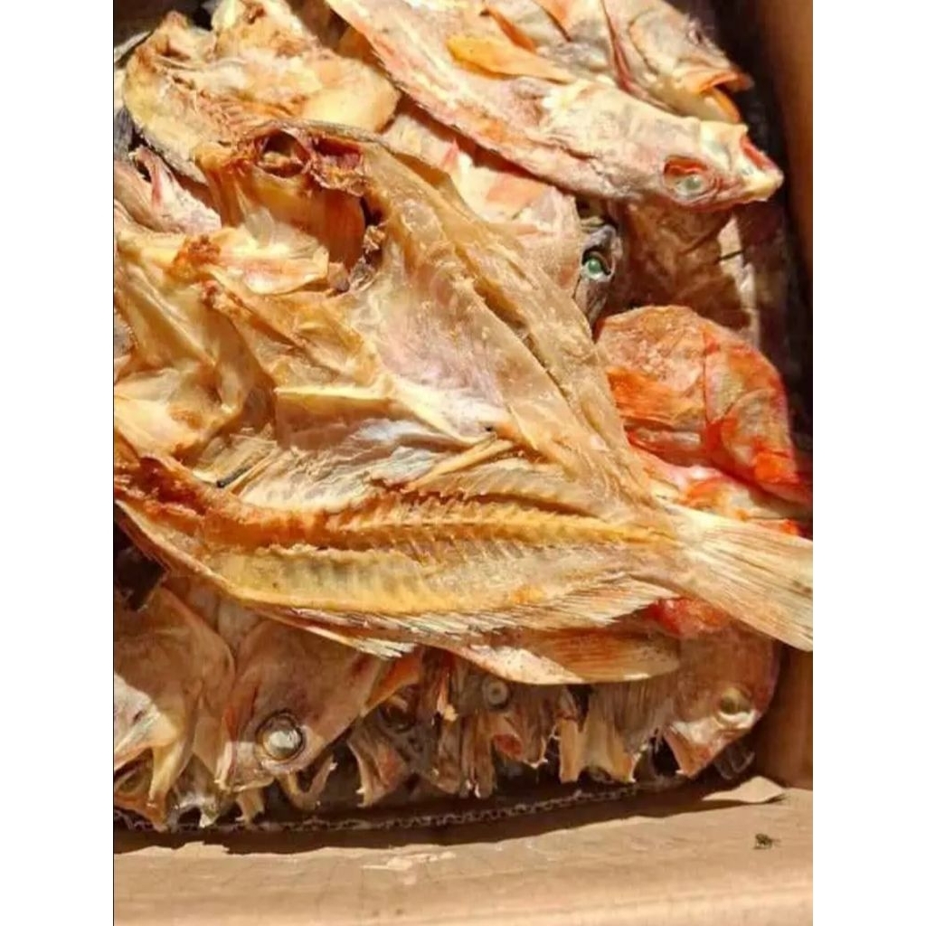 

ikan kering sunu 1 kg