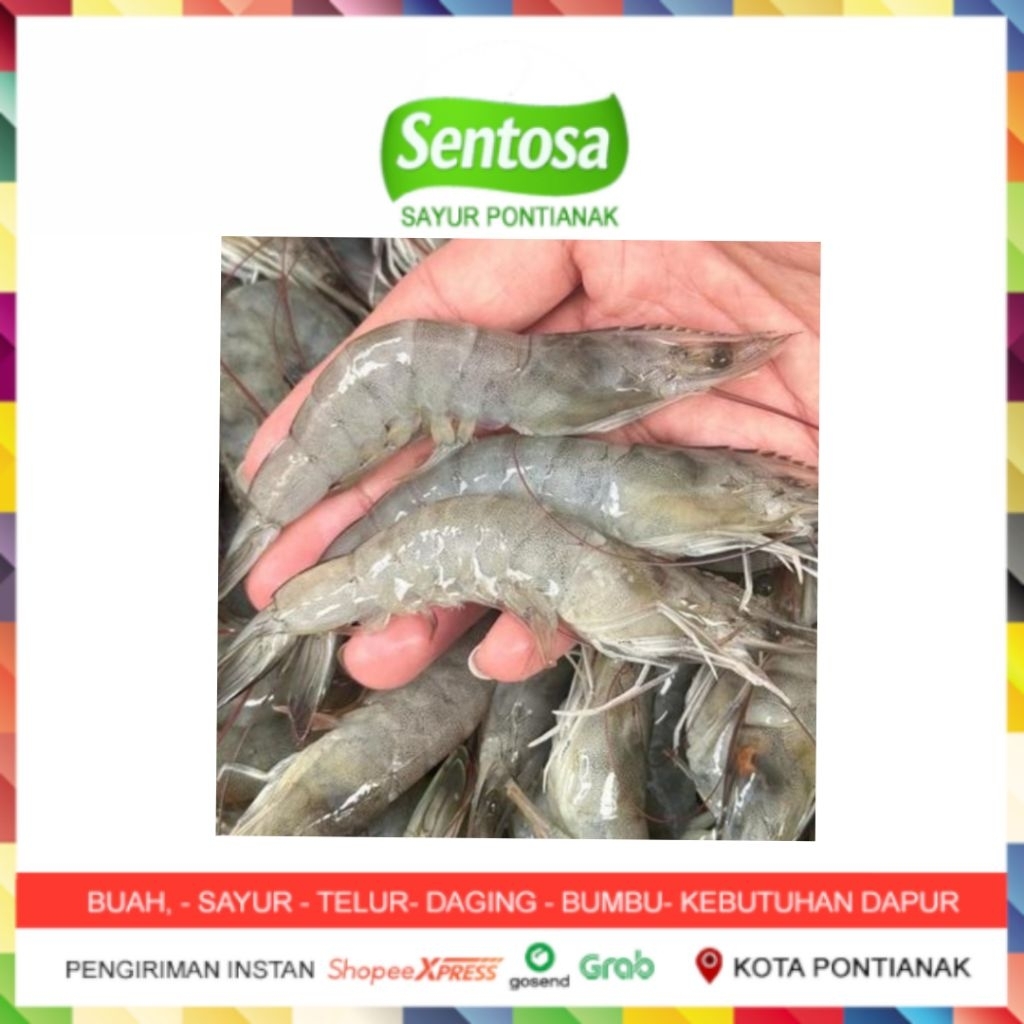 

Udang Vaname Segar Ukuran Sedang 100 gram Sentosa Sayur Pontianak