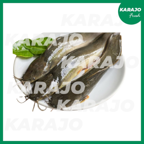 

Ikan Lele Fresh 500g/1000g
