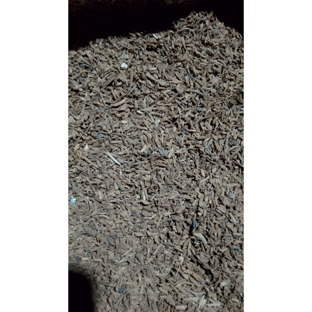 

Gagang cengkeh rajang Ory