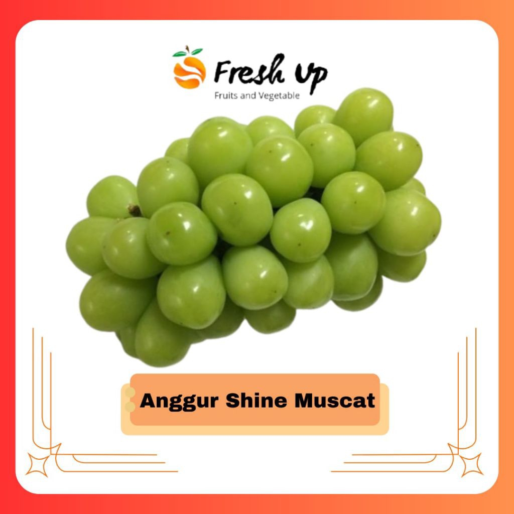 

Anggur Hijau Shine Muscat | FreshUp