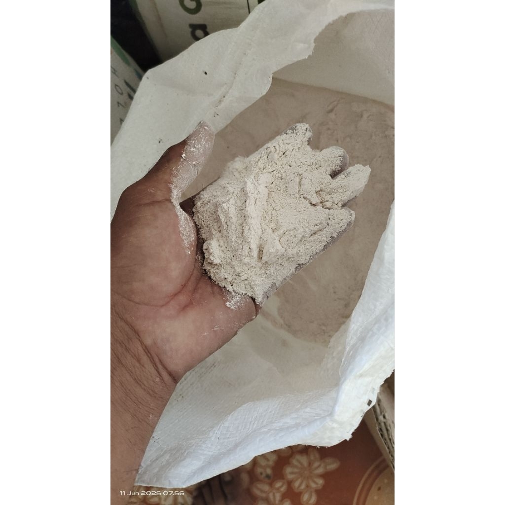 kapur pertanian dolomit