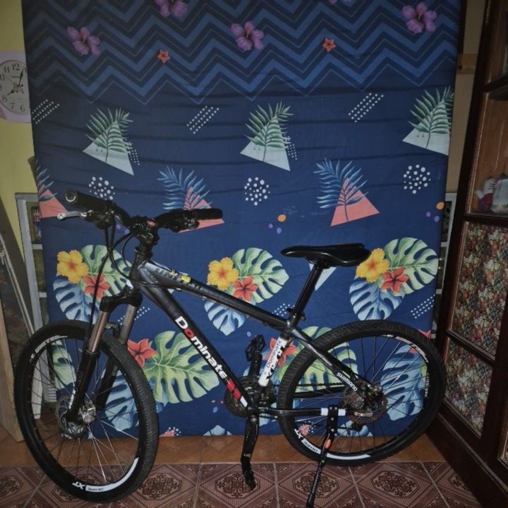 Sepeda Gunung United Dominate