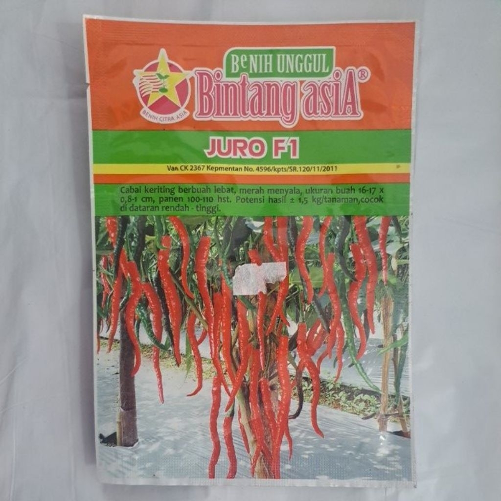 BENIH CABE MERAH KERITING JURO F1