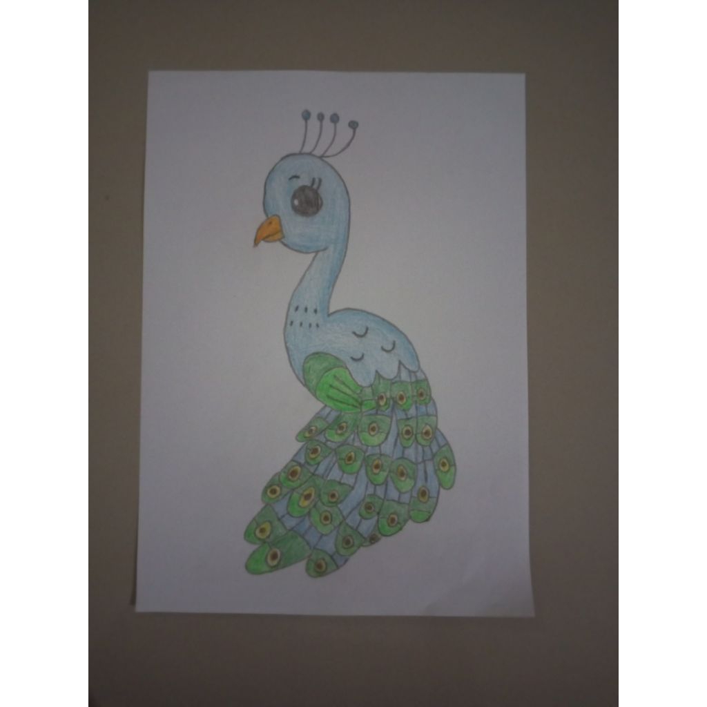 

Burung Merak Yang Cantik