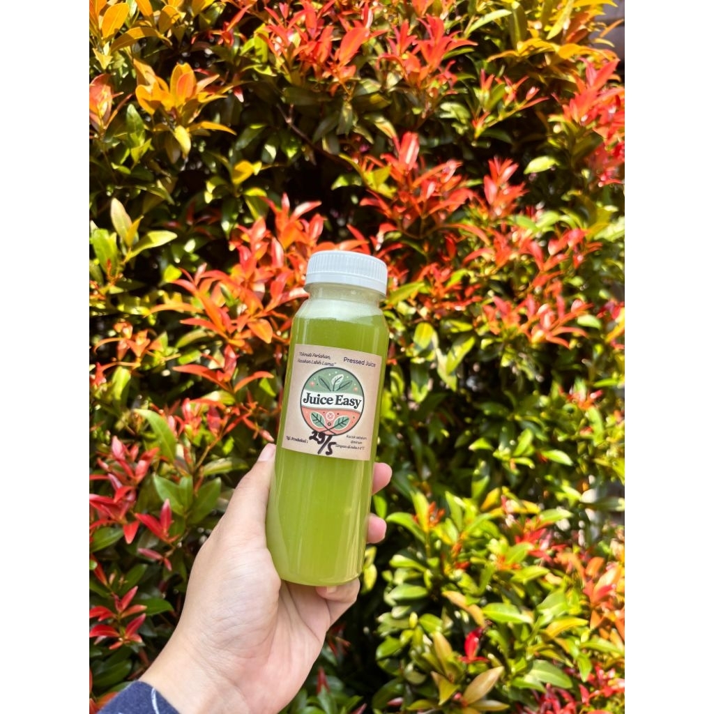 

Pressed Juice Celery Stick