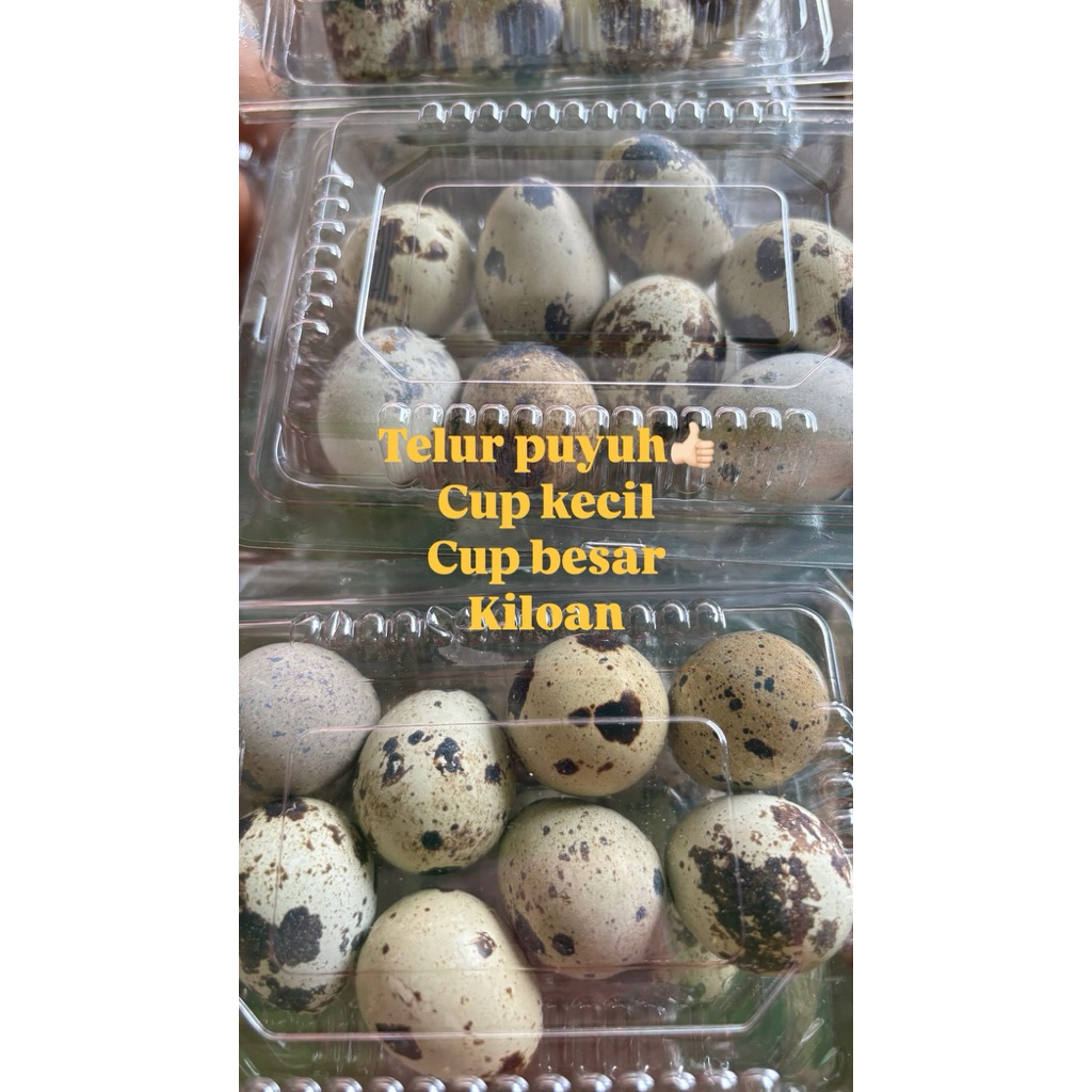 

telur puyuh 1pack 200gr