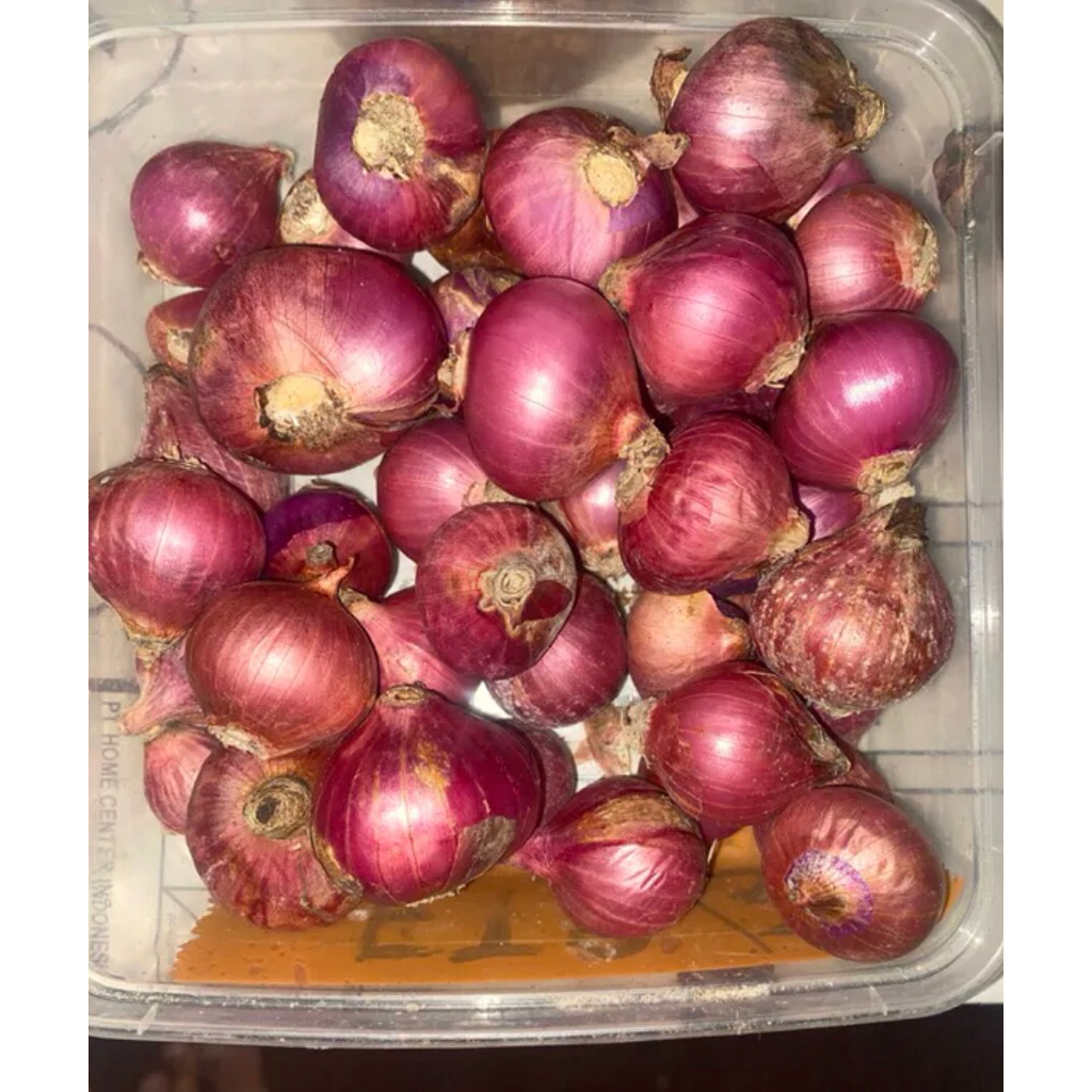 

BAWANG MERAH BRAMBANG FRESS 1KG