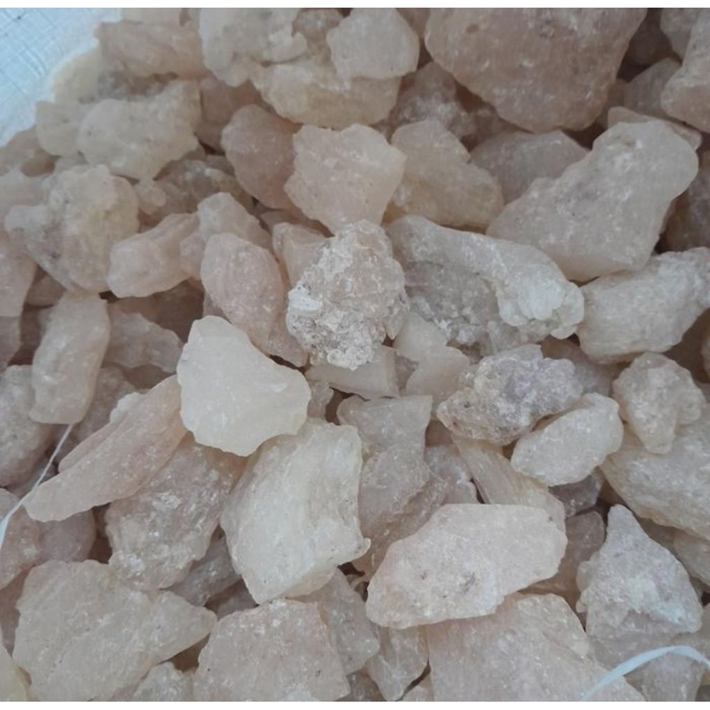 Getah Damar / Mustaki / Kemenyan Putih / Menyan Putih / Gum Damar 1kg