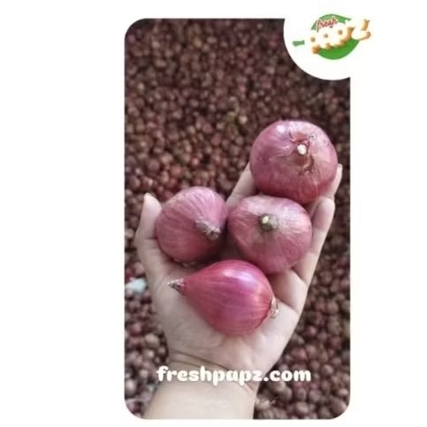 

( MURAH BANGET ) Bawang India
