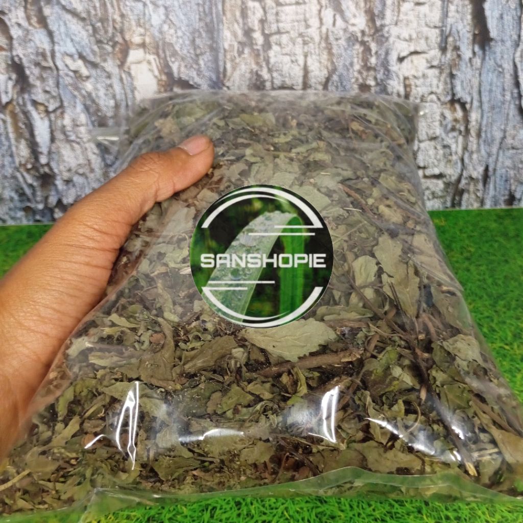 

Daun kumis kucing kering 100 gram