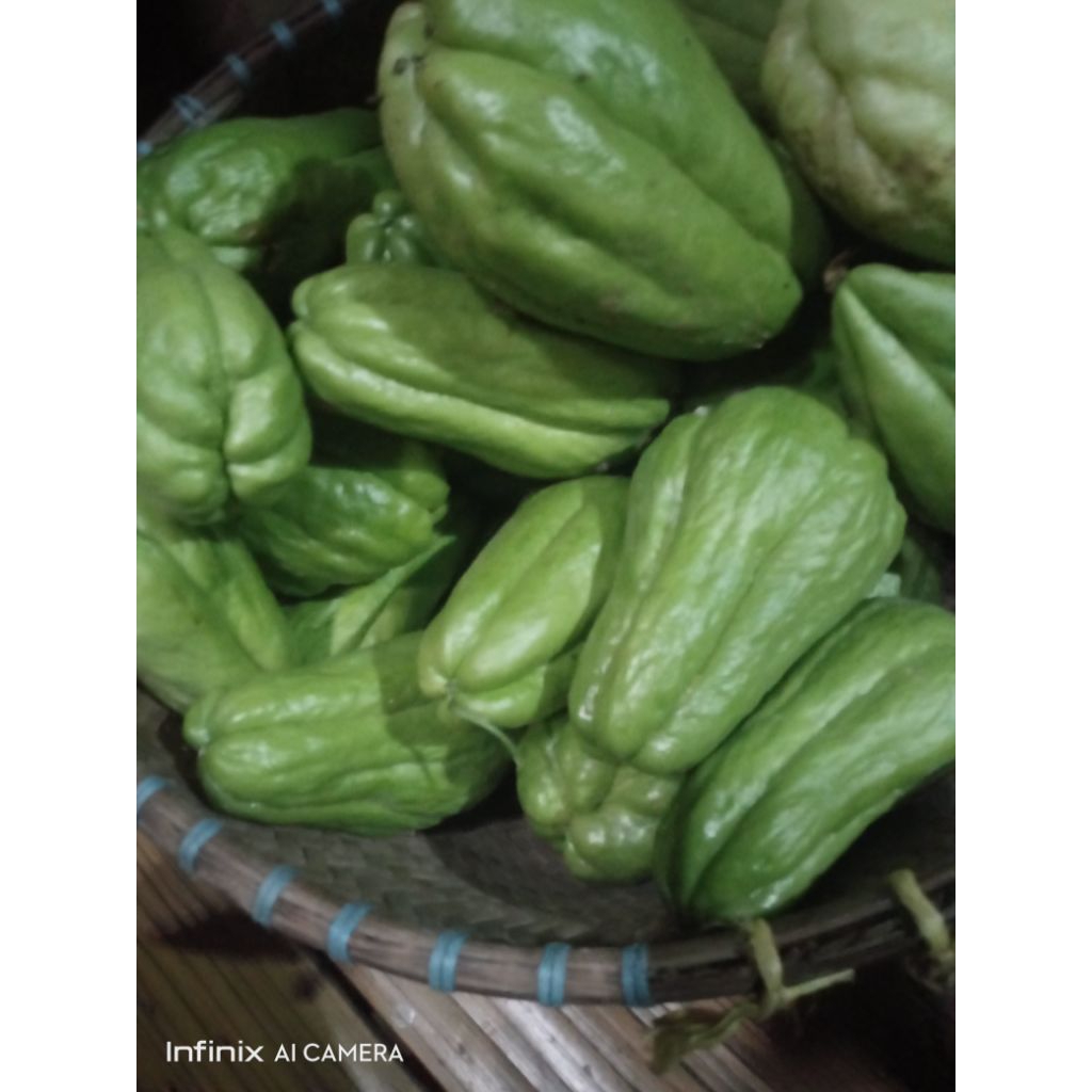 

labu Siam segar jumbo 1 kg muat 2-3 biji